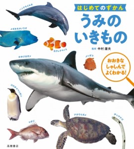 【単行本】 中村庸夫 / はじめてのずかん　うみのいきもの