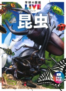【図鑑】 丸山宗利 / 昆虫 新版 DVDつき 学研の図鑑LIVE