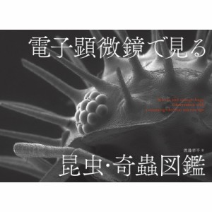 【単行本】 渡邊孝平 / 電子顕微鏡で見る昆虫・奇蟲図鑑 送料無料