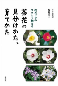 【単行本】 日比谷花壇 塩見亮一 / 花のプロがやさしく教える茶花の見分けかた、育てかた