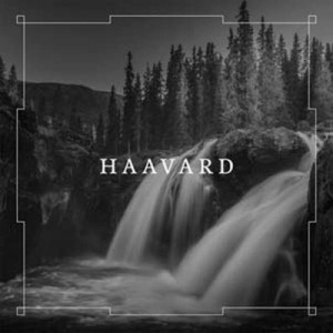 【LP】 Haavard / Haavard  送料無料