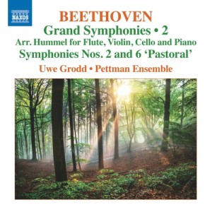 【CD輸入】 Beethoven ベートーヴェン / 交響曲第6番『田園』、第2番〜フンメル編曲フルート＆ピアノ・トリオ版　ウーヴェ・グ
