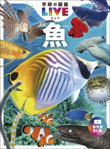 【図鑑】 本村浩之 / 魚 新版 学研の図鑑LIVE 送料無料