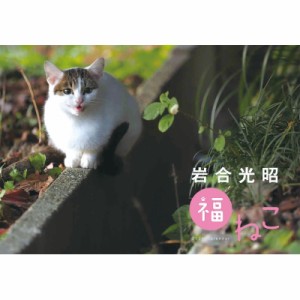 【ムック】 岩合光昭 / 岩合光昭 福ねこカレンダー 2024