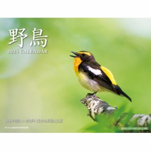 【ムック】 内山晟動物写真事務所 / 2024 野鳥カレンダー