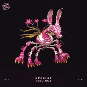 【LP】 Special Feelings / Special Feelings 送料無料