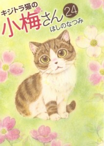 【コミック】 ほしのなつみ / キジトラ猫の小梅さん 24 ねこぱんちコミックス