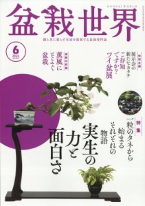 【雑誌】 盆栽世界編集部 / 盆栽世界 2024年 6月号