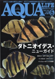 【雑誌】 月刊AQUA LIFE編集部 / 月刊 AQUA LIFE (アクアライフ) 2024年 6月号
