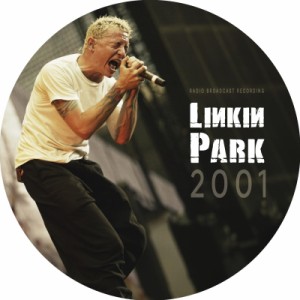 【12in】 Linkin Park リンキンパーク / 2001 (ピクチャーディスク仕様 / アナログレコード) 送料無料