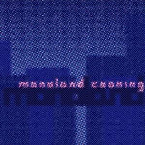 【LP】 Monoland / Cooning (国内盤 / アナログレコード)※入荷数がご予約数に満たない場合は先着順とさせて頂きます。 送料無