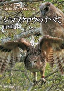 シマフクロウ木彫り 北海道産シナ材 木彫りフクロウ | woodplaza's STORE