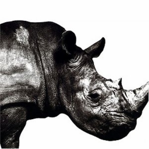 【CD】 Mr.Children / Mr.Children 1992-1995 送料無料