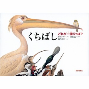 【絵本】 ヴィタリー・ヴァレンチノヴィチ・ビアンキ / くちばし　どれが一番りっぱ? 福音館のかがくのほん