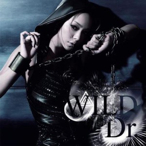 【CD Maxi】 安室奈美恵 / WILD  /  Dr.