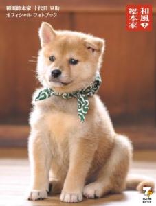 ブック オフの通販 Au Pay マーケット 3ページ目