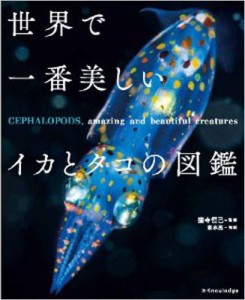 【単行本】 窪寺恒己 / 世界で一番美しいイカとタコの図鑑 送料無料