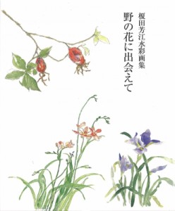 【単行本】 榎田芳江 / 野の花に出会えて 榎田芳江水彩画集 銀の小箱・アートギャラリー