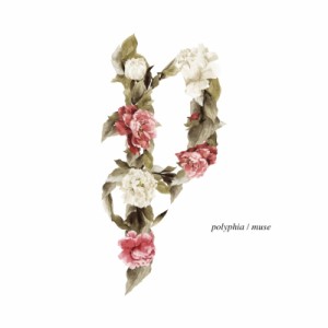 【CD国内】 Polyphia / Muse