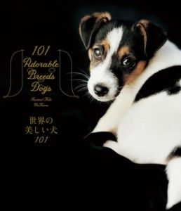 【単行本】 レイチェル・ヘイル・マッケナ / 世界の美しい犬101 送料無料