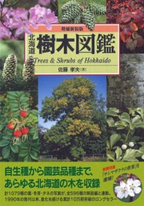 【図鑑】 佐藤孝夫 / 北海道樹木図鑑 送料無料