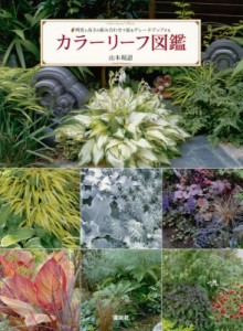 【単行本】 山本規詔 / カラーリーフ図鑑 明度と高さの組み合わせで庭をグレードアップする