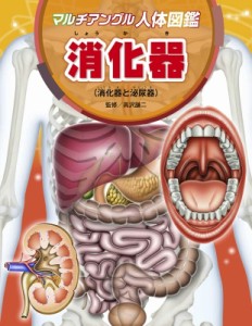 【図鑑】 高沢謙二 / マルチアングル人体図鑑　消化器 消化器と泌尿器 送料無料