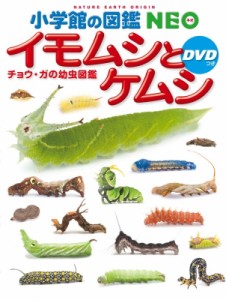 【図鑑】 鈴木知之 / イモムシとケムシDVDつき チョウ・ガの幼虫図鑑 小学館の図鑑NEO