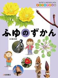 【全集・双書】 露木和男 / さがそう!みぢかなしぜん　きせつのずかん 4 ふゆのずかん 送料無料