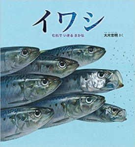 【絵本】 大片忠明 / イワシ むれでいきるさかな かがくのとも絵本