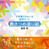 【単行本】 東京堂出版 / 不思議できれいな数学アート　敷きつめ塗り絵