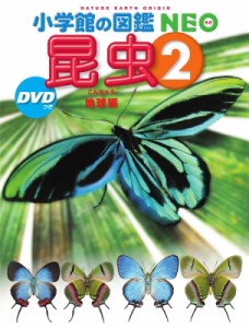 【図鑑】 小池啓一 / 昆虫 2 DVDつき 地球編 小学館の図鑑NEO