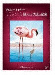 ディズニーネイチャー/フラミンゴに隠された地球の秘密/ドキュメンタリー映画[DVD]【返品種別A】