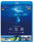 ビコム Relaxes BD 世界自然遺産 小笠原 〜ボニンブルーの海〜/BGV[Blu-ray]【返品種別A】