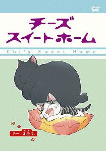 子猫 飼うの通販 Au Wowma