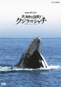 NHKスペシャル 大海原の決闘! クジラ対シャチ/ドキュメント[DVD]【返品種別A】