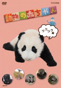 NHKDVD 動物の赤ちゃん ワクワク編/動物[DVD]【返品種別A】