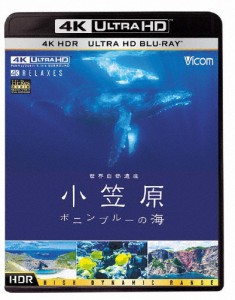 ビコム 4K Relaxes 世界自然遺産 小笠原 〜ボニンブルーの海〜/BGV[Blu-ray]【返品種別A】