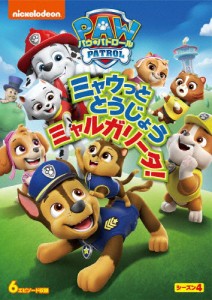 パウ・パトロール シーズン4 ミャウっととうじょう ミャルガリータ!/アニメーション[DVD]【返品種別A】