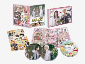 村井の恋 DVD-BOX/高橋ひかる[DVD]【返品種別A】