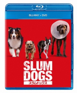 スラムドッグス ブルーレイ+DVD/ウィル・フォーテ[Blu-ray]【返品種別A】