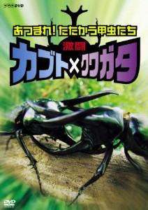 ムシキング クワガタの通販｜au PAY マーケット