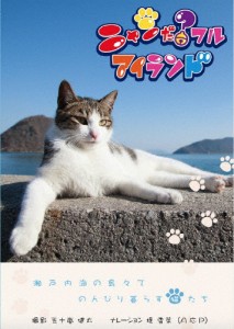 ニャンだ?フルアイランド/バラエティ[DVD]【返品種別A】