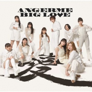 BIG LOVE/アンジュルム[CD]通常盤【返品種別A】