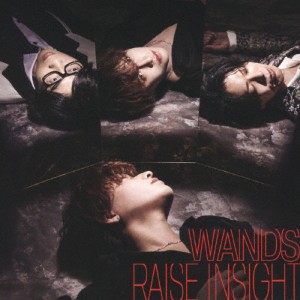 RAISE INSIGHT/WANDS[CD+Blu-ray]通常盤【返品種別A】