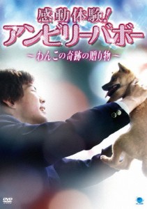 感動体験!アンビリーバボー〜わんこの奇跡の贈り物〜/心霊[DVD]【返品種別A】