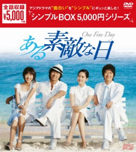 [枚数限定]ある素敵な日 DVD-BOX〈シンプルBOX 5,000円シリーズ〉/コン・ユ[DVD]【返品種別A】