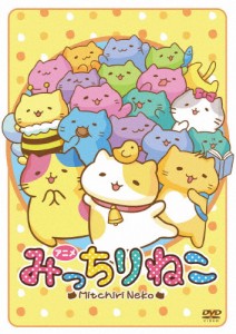 アニメみっちりねこ/アニメーション[DVD]【返品種別A】