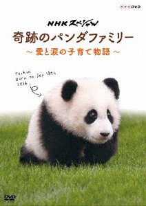 NHKスペシャル 奇跡のパンダファミリー 〜愛と涙の子育て物語〜/ドキュメント[DVD]【返品種別A】