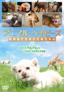 アニマル・ベイビーズ 動物園で生まれた赤ちゃん/ドキュメンタリー映画[DVD]【返品種別A】